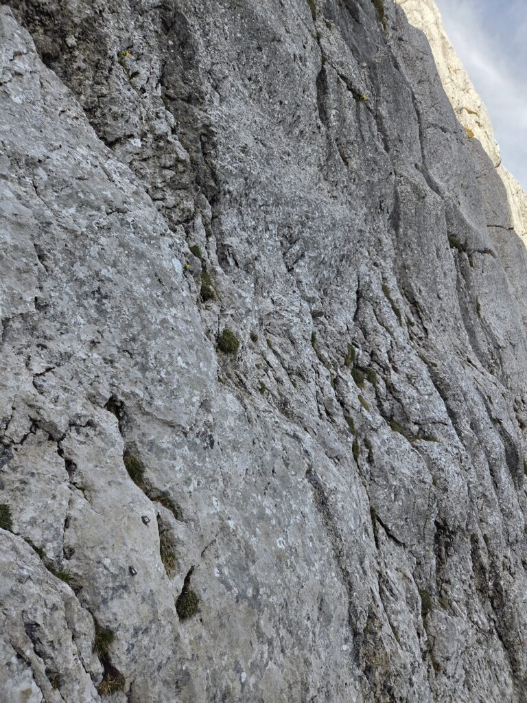 1000086360