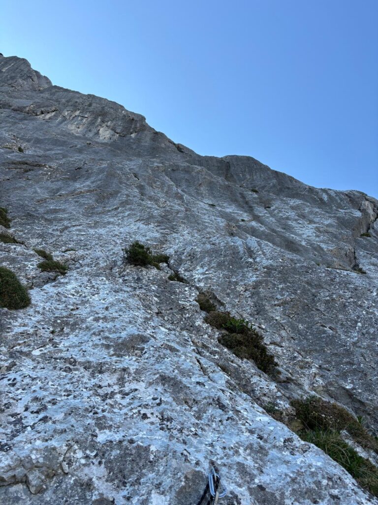 Stoamandl1