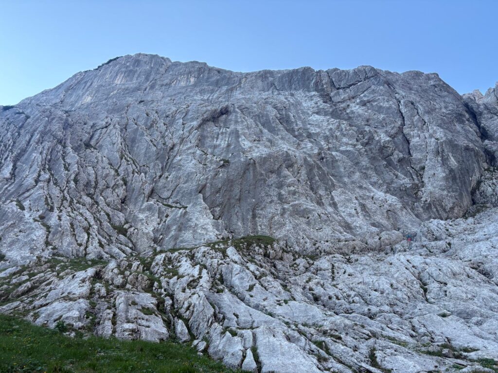 stoamandl