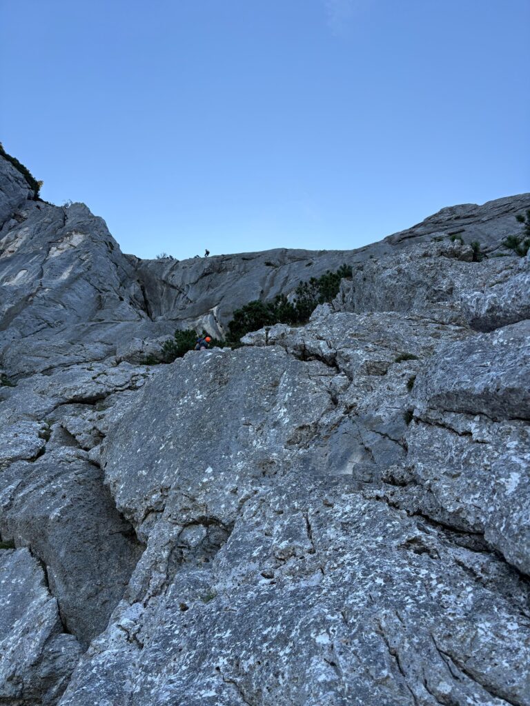 8.SL