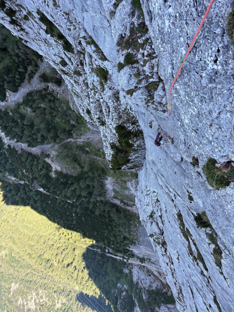 Sternschnuppe 6