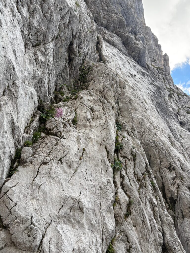 Einstieg