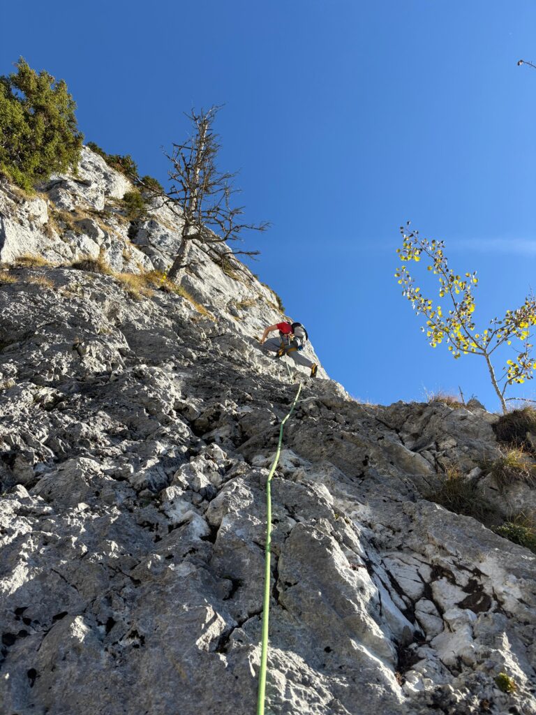 Falkenrisse 4.SL